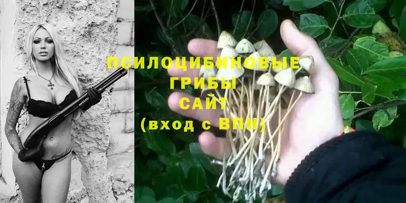 закладки  Рославль  мега ССЫЛКА  Галлюциногенные грибы Cubensis 